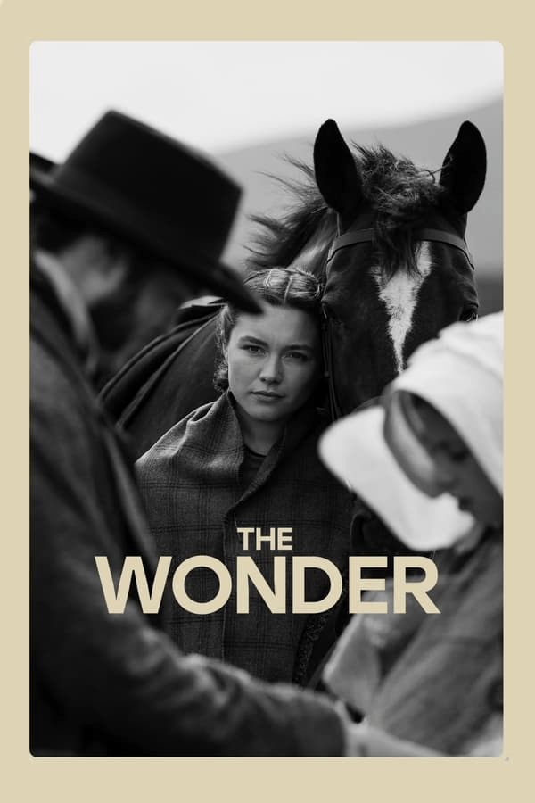 Hollywood: The Wonder (2022) [Download Movie]