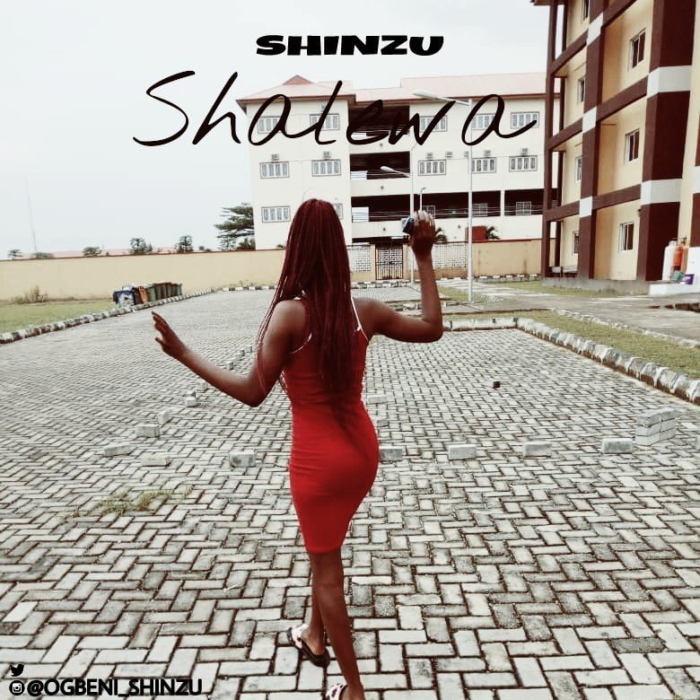 New Music: Shinzu - Shalewa (Download Mp3) | Critic Circle