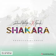 Afro Fusion: David White Feat Fpack – Shakara (Download Mp3)