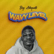 Lyrics: Boy Adequate – Wavy Level [See More]