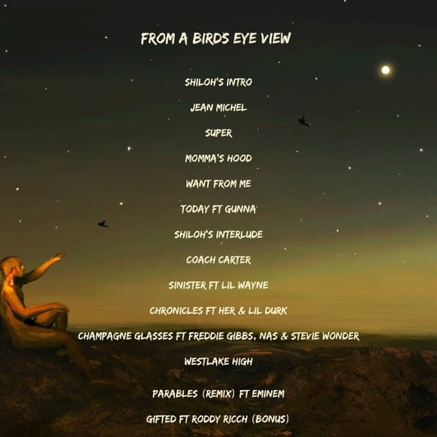 Featuring Stevie Wonder, Nas, H.e.r, Lil Wayne, Lil Durk, Eminem, Freddie Gibbs And Gunna, Rapper Cordae Addresses And Delivers Track List Of His Album &Quot;From A Birds Eye View&Quot; Out This Friday.