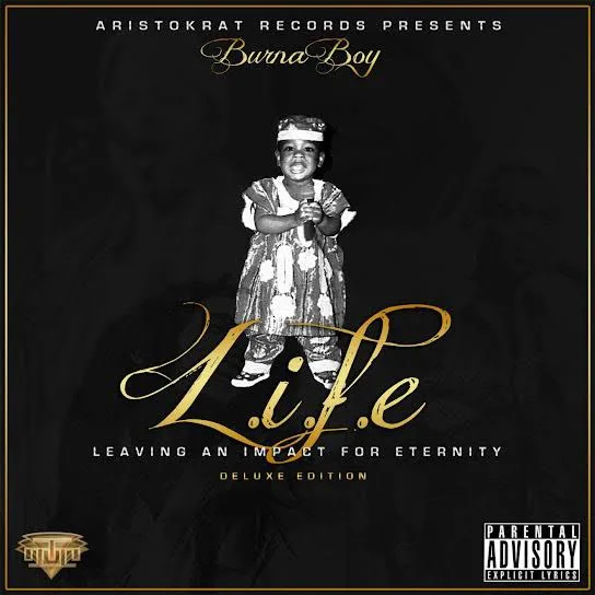 Here is a peep to the new album from Burna Boy