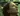good-one-hollywood-movie-jpg.webp