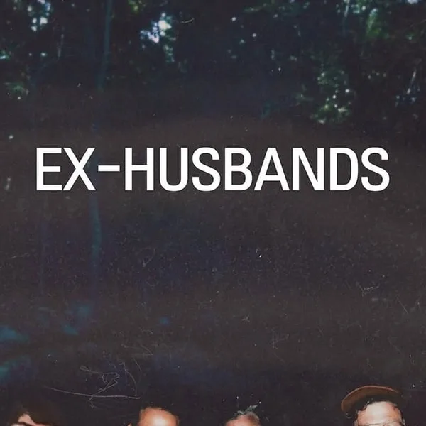ex-husbands-hollywood-movie