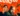 imgi_16_guns-up-hollywood-movie