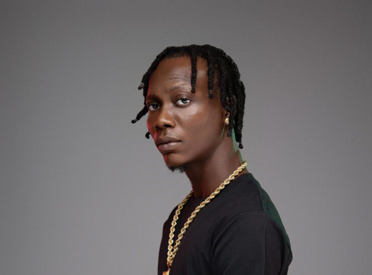 BLV8207 Edit scaled e1754282639409