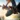 How to Train Your Dragon